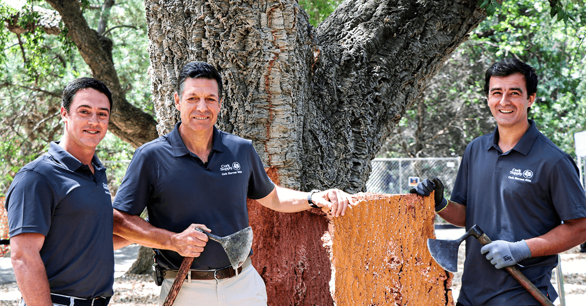 Cork Supply Concludes Educational Cork Harvesting Events at Cal Poly and UC Davis, Launches Scholarship Program to Portugal