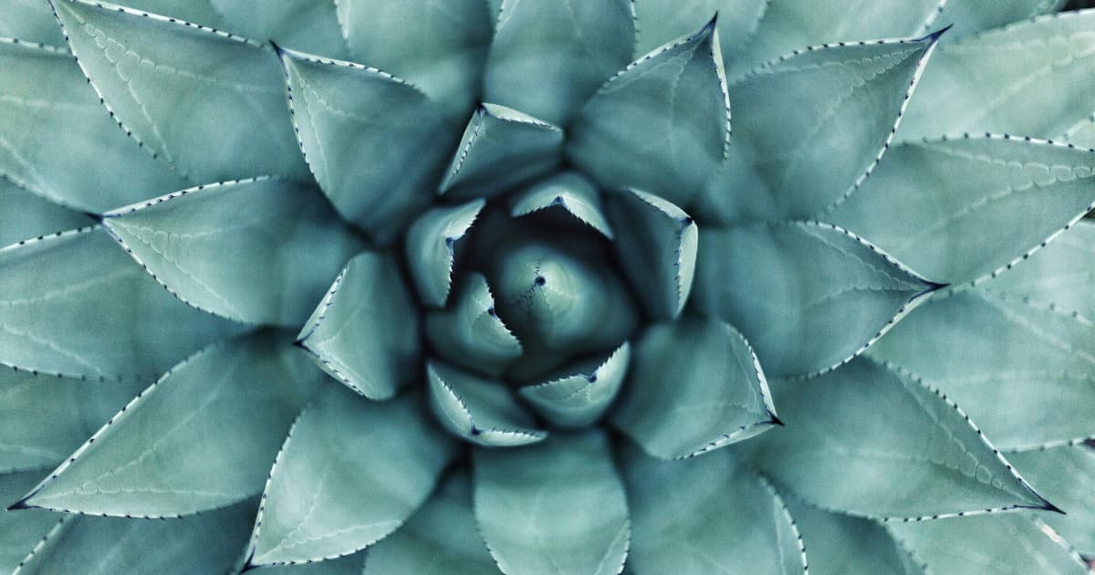 Experienced Massage Therapist Returns to Fort Worth Salon & Spa Galleria with New Practice