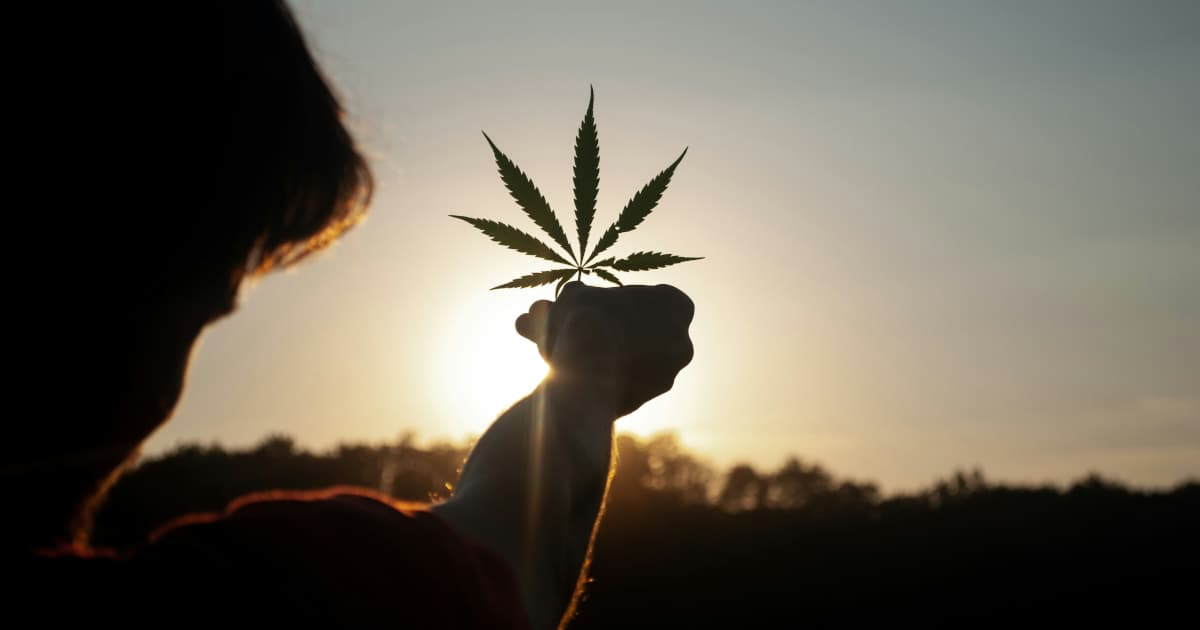 Gen Z's Intentional Approach Reshapes U.S. Cannabis Retail Market