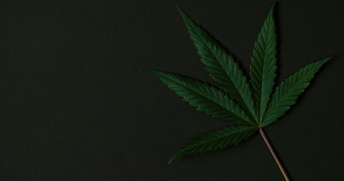 Splash Beverage Group Enters Hemp-Based THC Market Through Joint Venture with BAAD Ventures