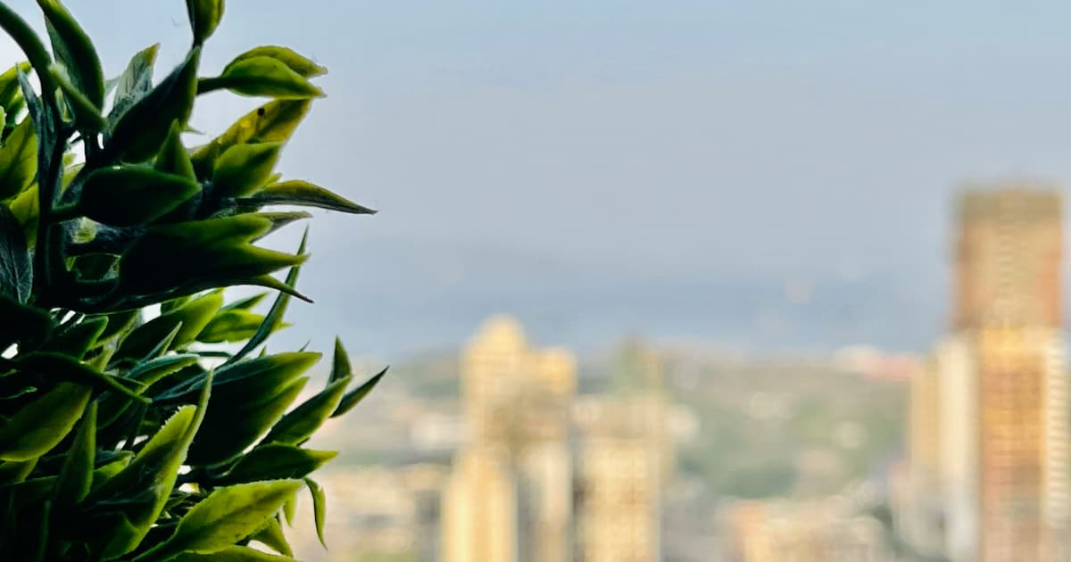 Ohio House Approves Cannabis Reform Bill with Hemp THC Ban