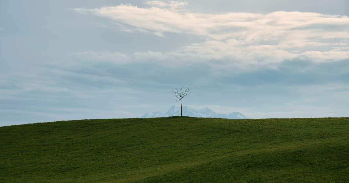 Microsoft Expands Renewable Energy Portfolio with Spanish Solar Deal