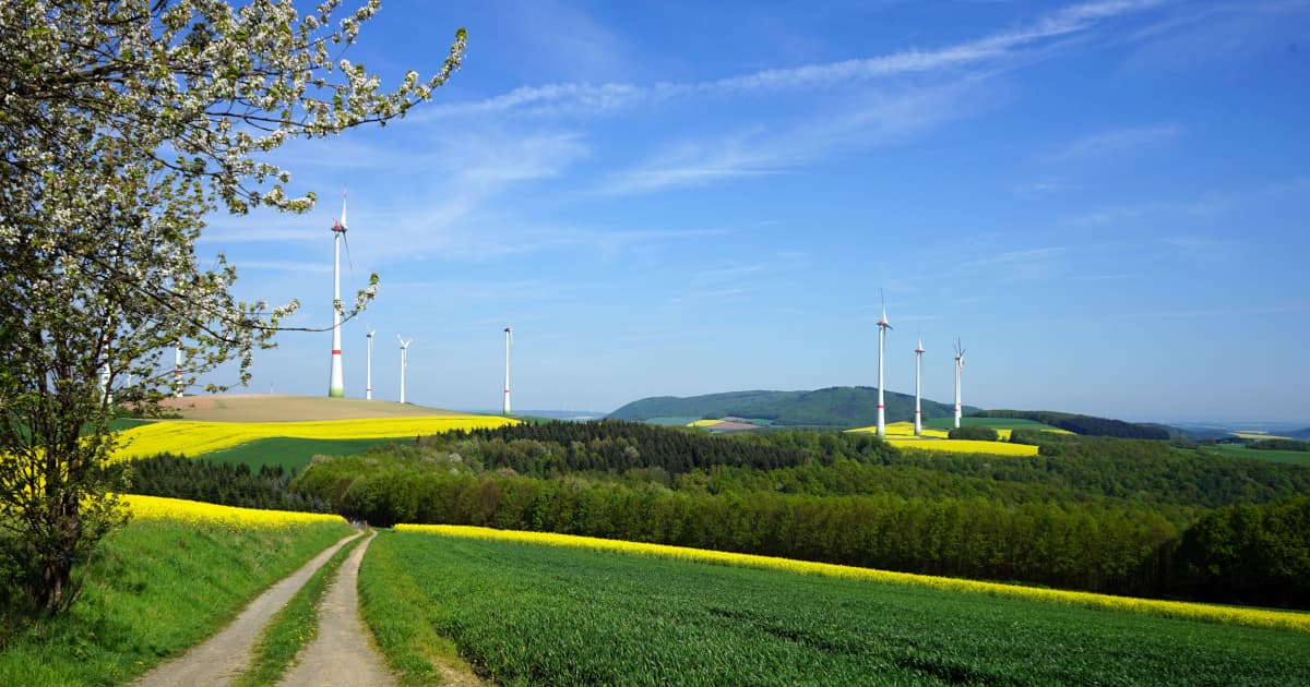 EdgePoint Deploys Satellite and Solar Technology to Protect Critically Endangered Malayan Tigers