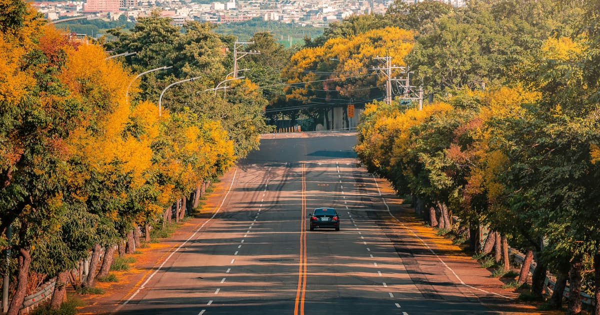 SierrAfrica Diaspora Connect Launches Heritage Tour to Sierra Leone Combining Cultural Reconnection with Economic Development