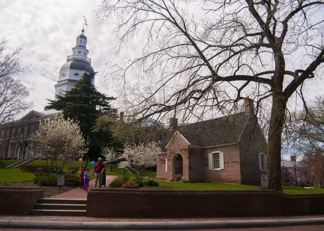 Maryland Faces Critical Policy Decisions on Healthcare, Justice, and Energy