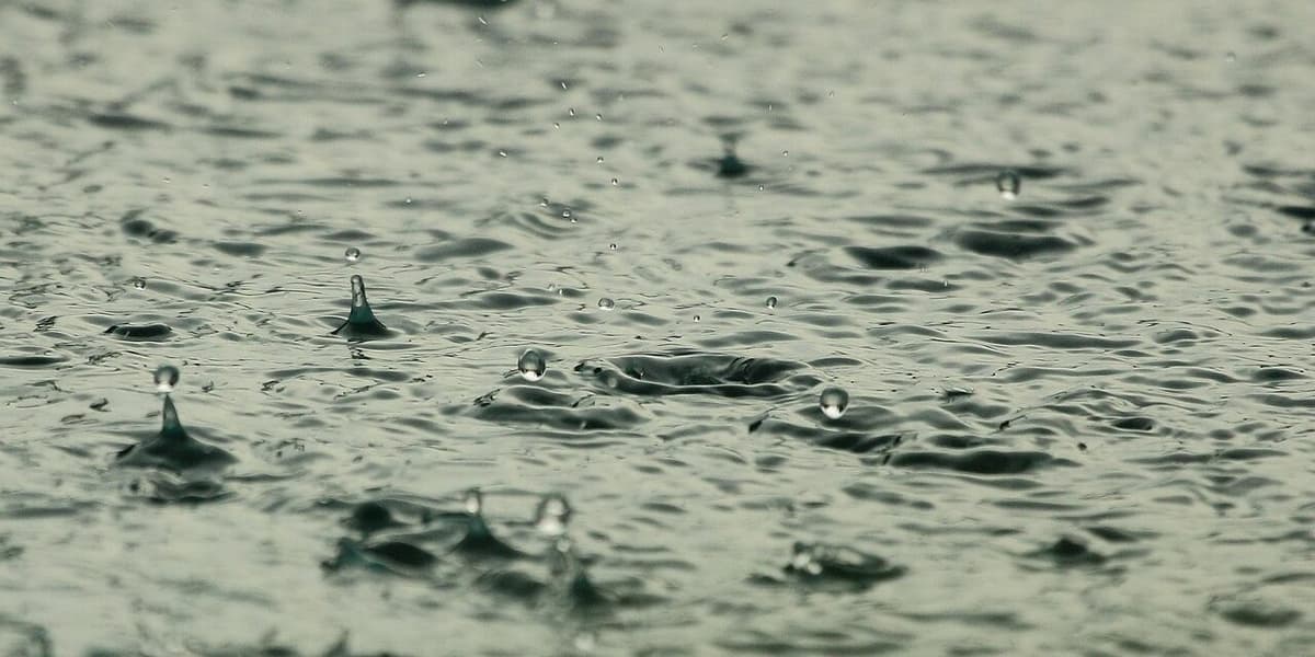 Maryland Faces Multiple Challenges: From Flood Warnings to Legislative Audits