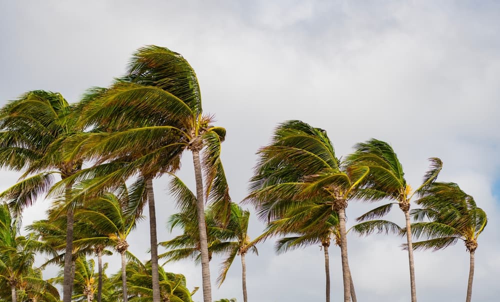 Coastal Commercial Real Estate Investors Face Hidden Hazard Risks, Expert Warns