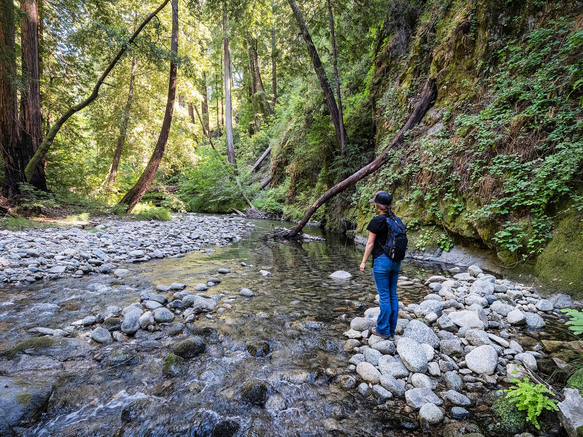 Esselen Tribe Receives Second Ancestral Land Tract on California's Little Sur River