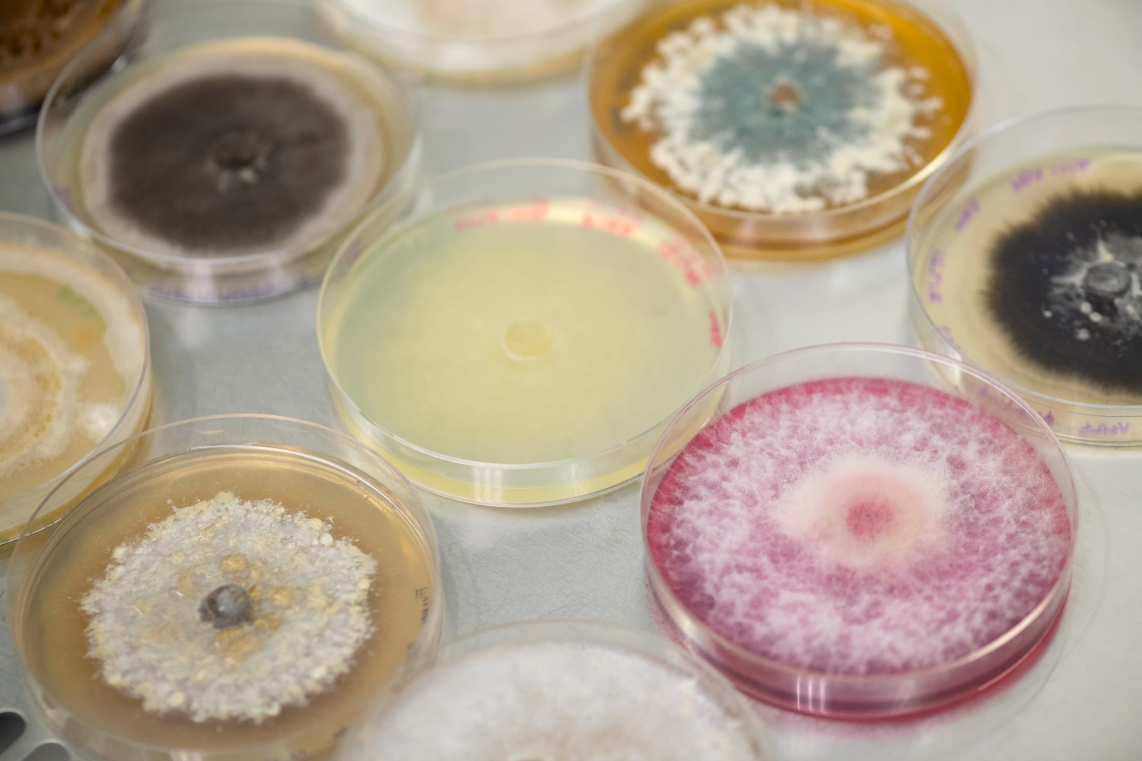 Jord BioScience Raises Series B Funding to Advance Agricultural Microbial Technologies