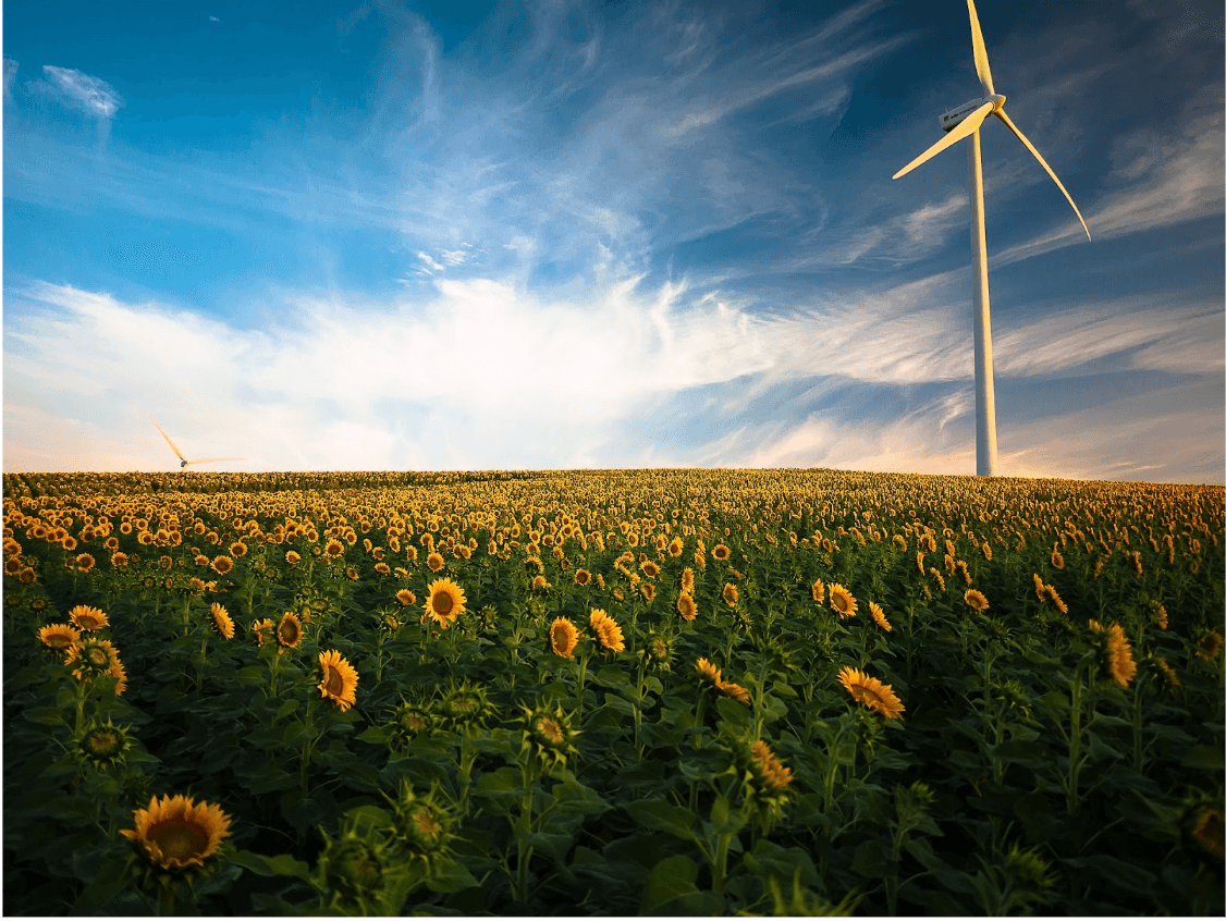 Qnetic's Flywheel Technology Challenges Lithium Battery Dominance in Energy Storage