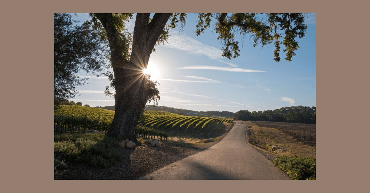 Santa Rosa Attorney Andrew Conway Recognized as 2025 Super Lawyers Rising Star Amid Significant Family Law Victories