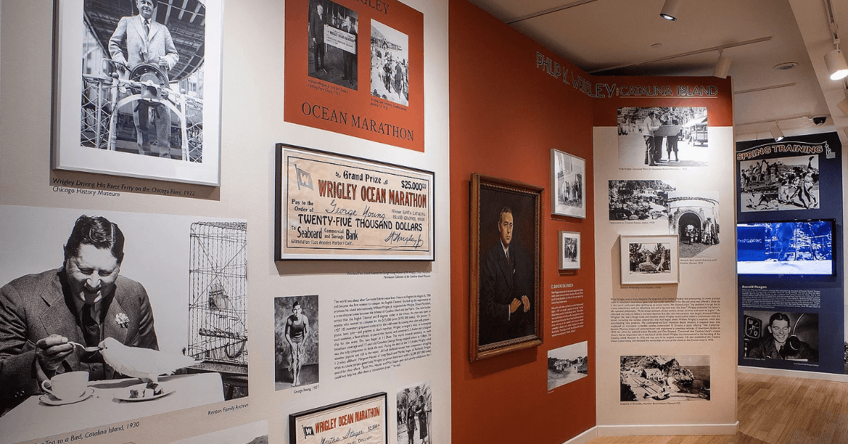 Catalina Museum Hosts End of Summer Fundraiser to Honor Local Veterinarian and Support Art Preservation