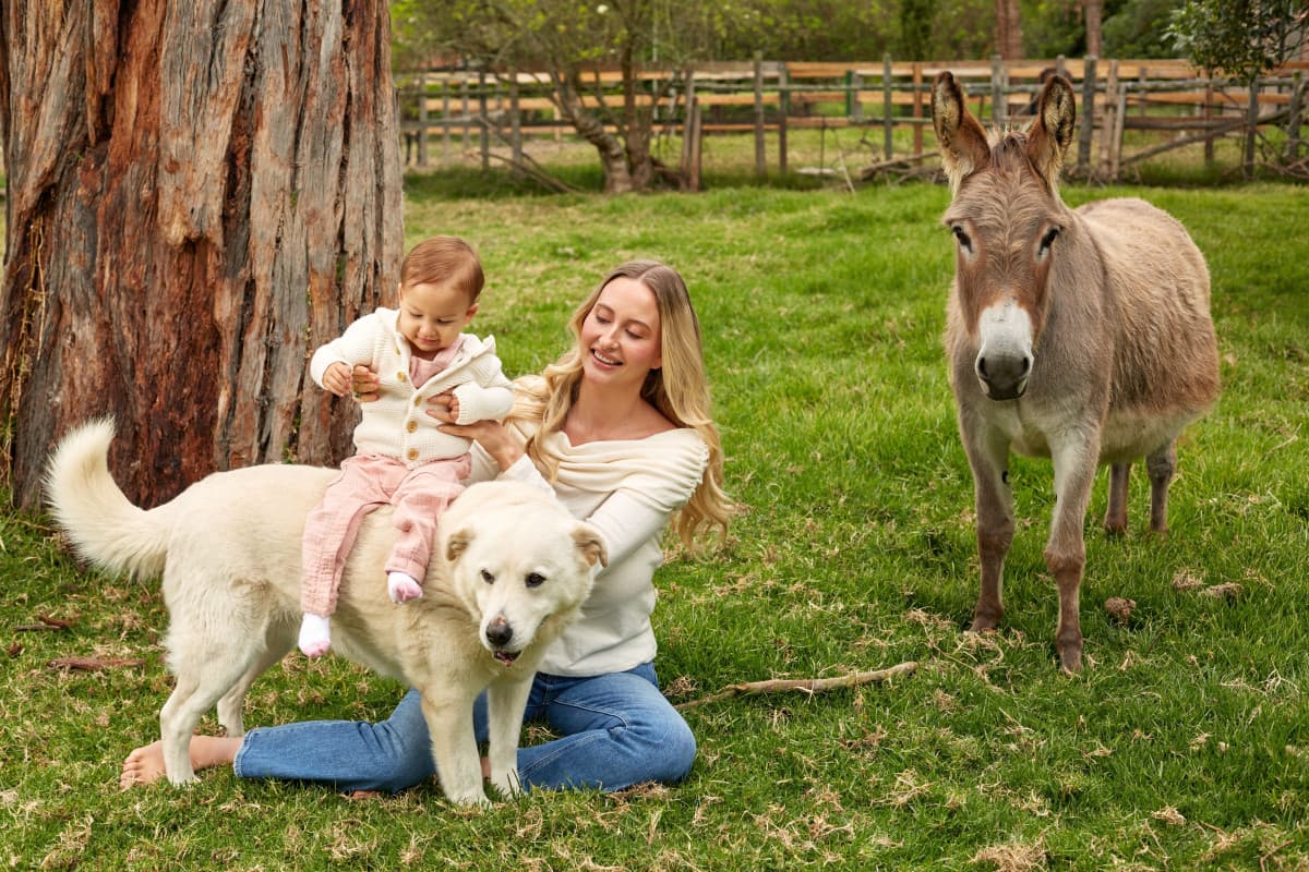 Search Atlas Founders Open Animal Sanctuary in Colombia, Supported by Tech Company Proceeds