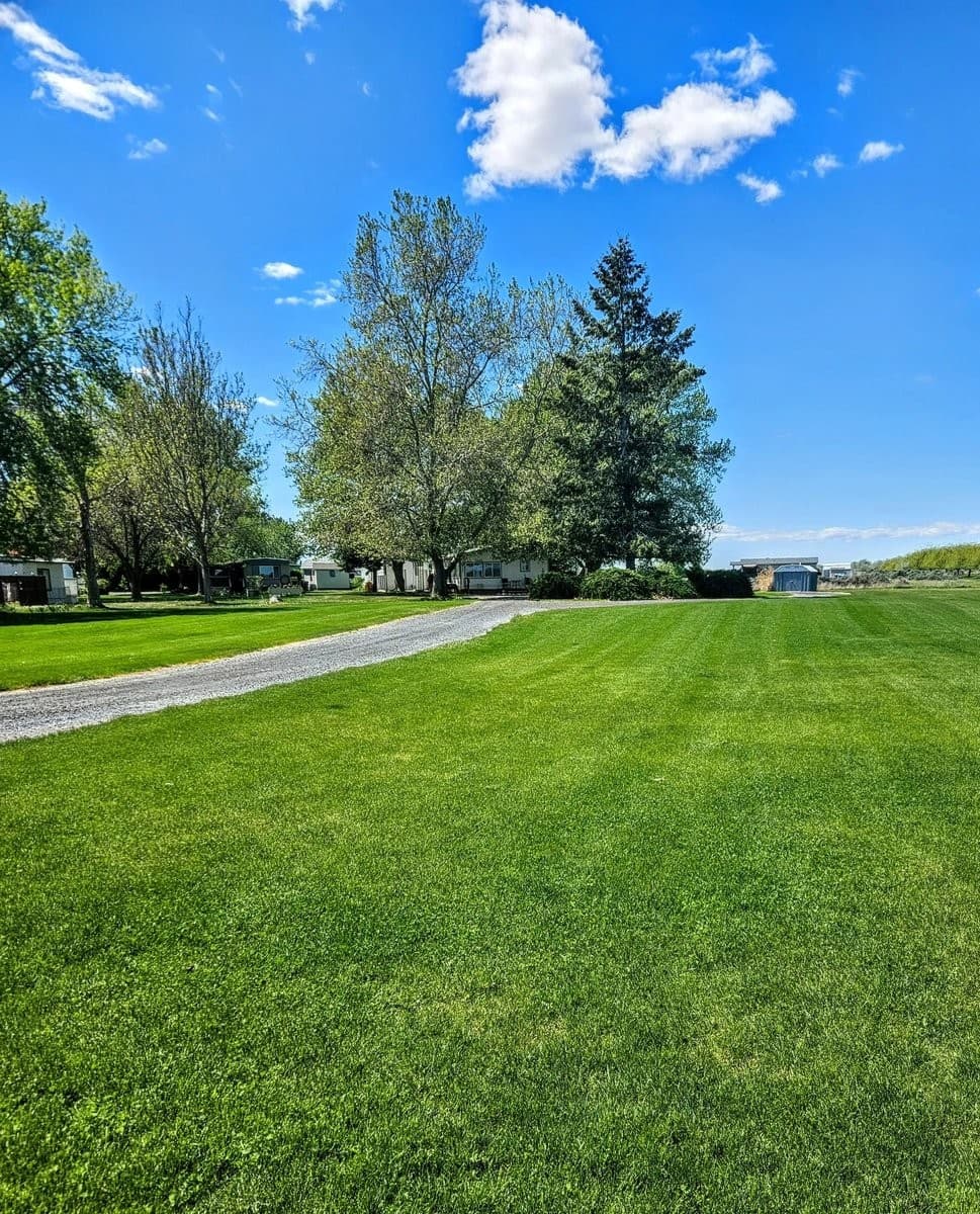 Tatum Lawn Care Launches Online Quote Tool for Year-Round Services in Moses Lake
