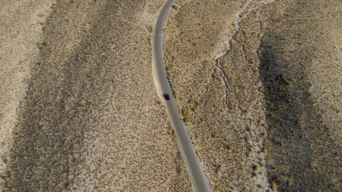 Whisenhunt Media Pivots to AI-First Strategy Amid Industry Disruption