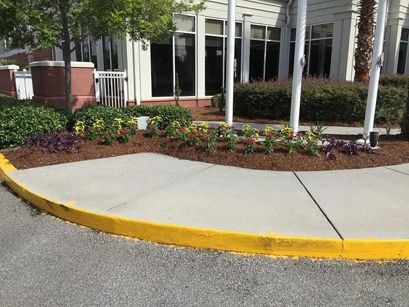 Turf Scouts Marks 15 Years of Residential Lawn Care Services in Savannah, Georgia