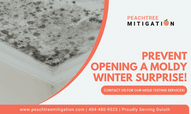 Hidden Mold Poses Health and Property Risks in Duluth's Humid Climate