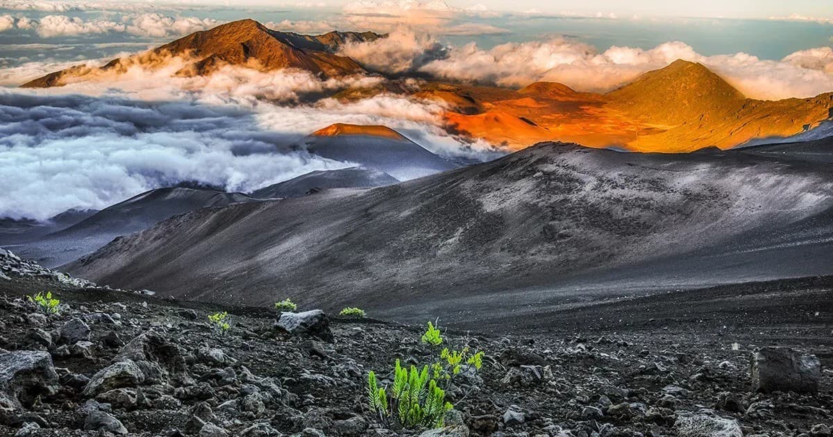 This Week Hawaii Marks 60 Years with Expanded Digital Tracking Tools for Advertisers