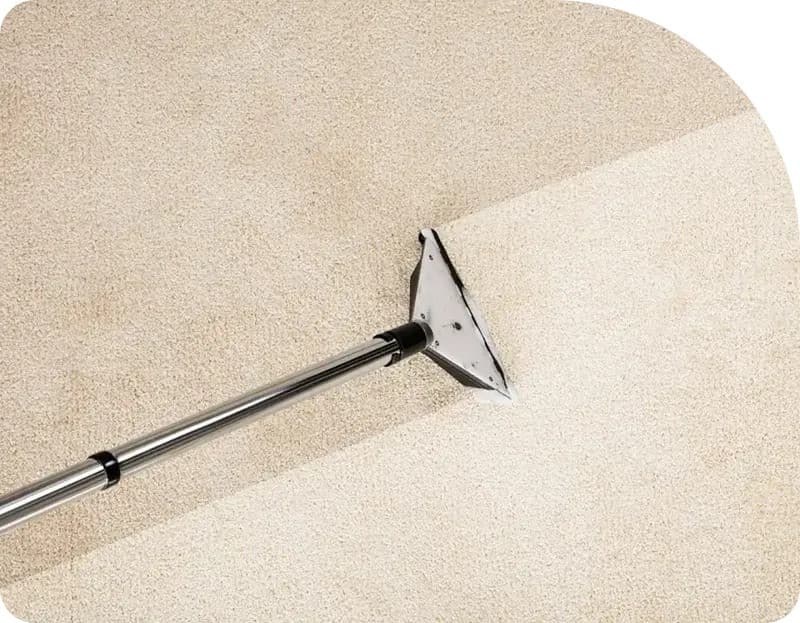 Flood Squad's Technological Advancements Transform Sydney Water Damage Restoration Industry