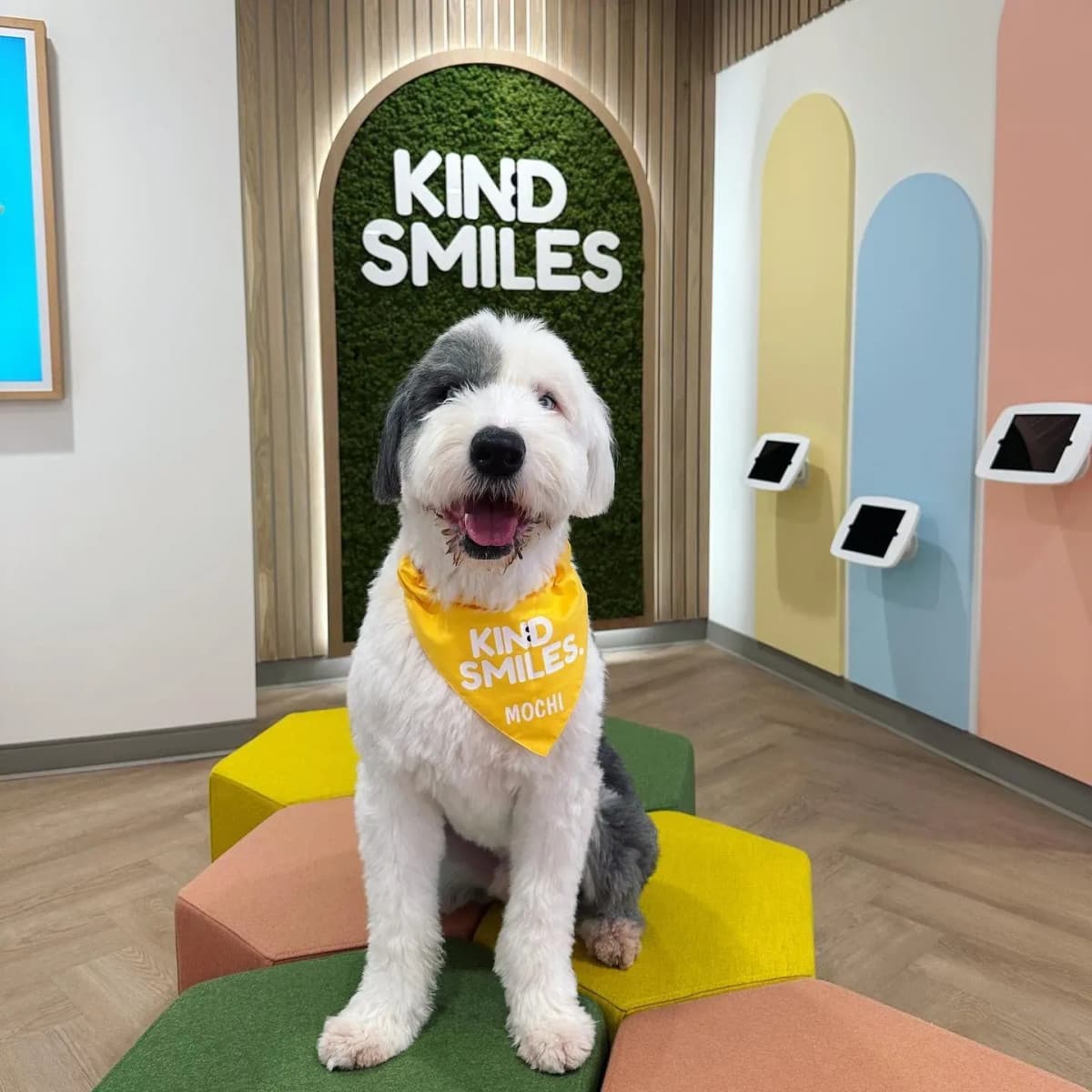 Irvine Dental Practice Emphasizes Specialized Care for Children and Special Needs Patients