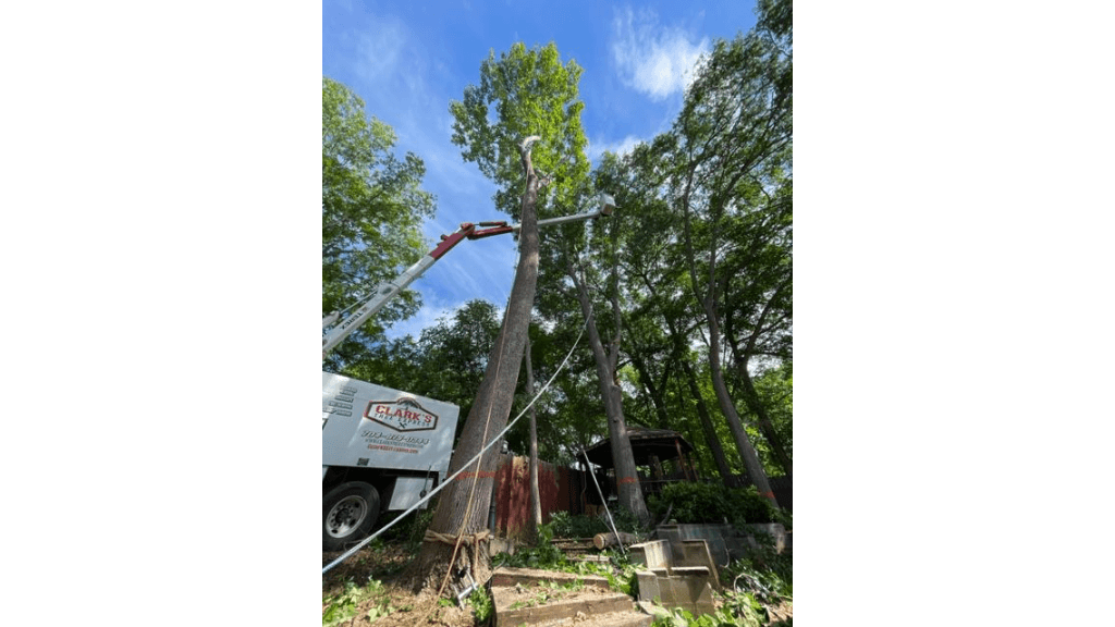 Clarks Tree Express Deploys 121-Foot Spider Lift for NC Storm Removals