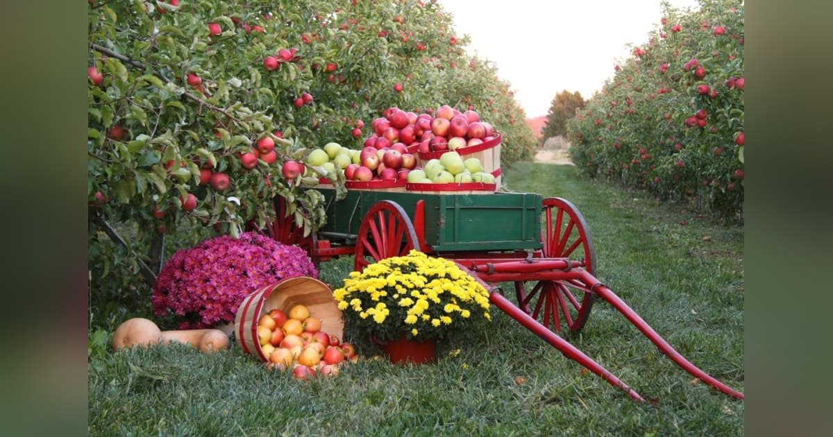 Pennsylvania Bulk Food Store Thrives After Rising From Bankruptcy