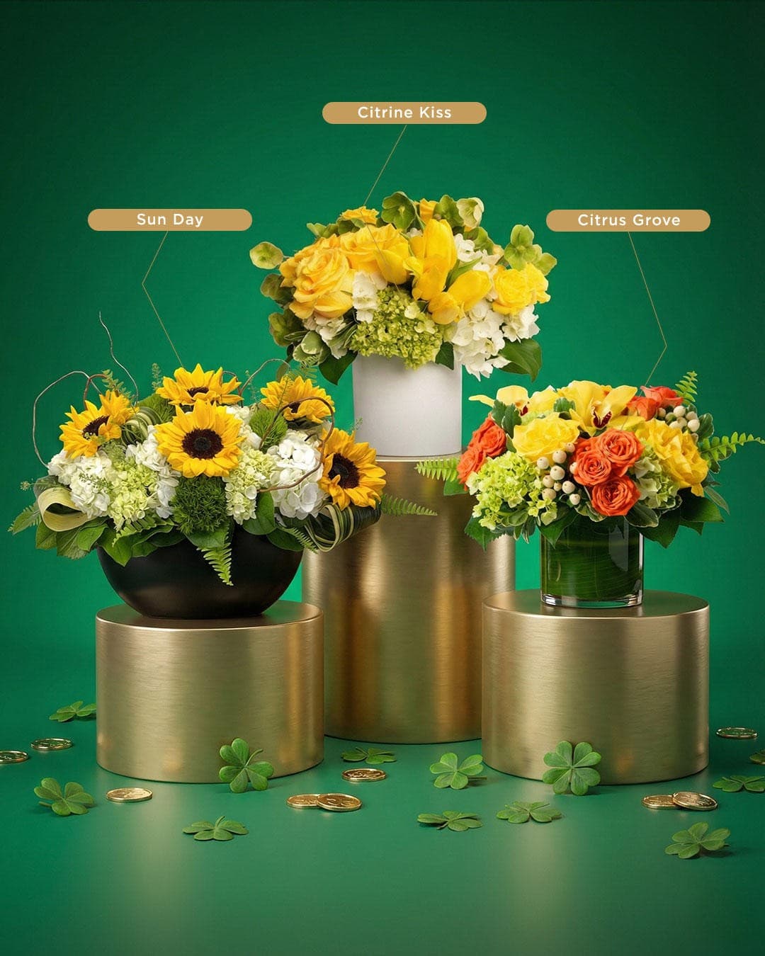 Juno Beach Florist Launches Signature Orchid Collection for Coastal Market