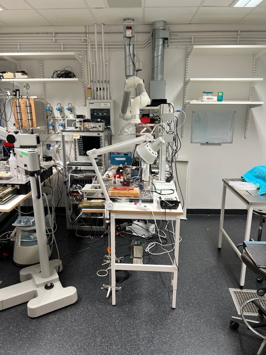 Study Shows Multiple Doses of Extracellular Vesicles Could Reduce Lung Injury Risk in ICU Patients