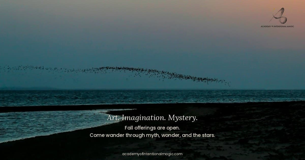 Academy of Intentional Magic Launches to Expand Creative Learning Beyond Poetry