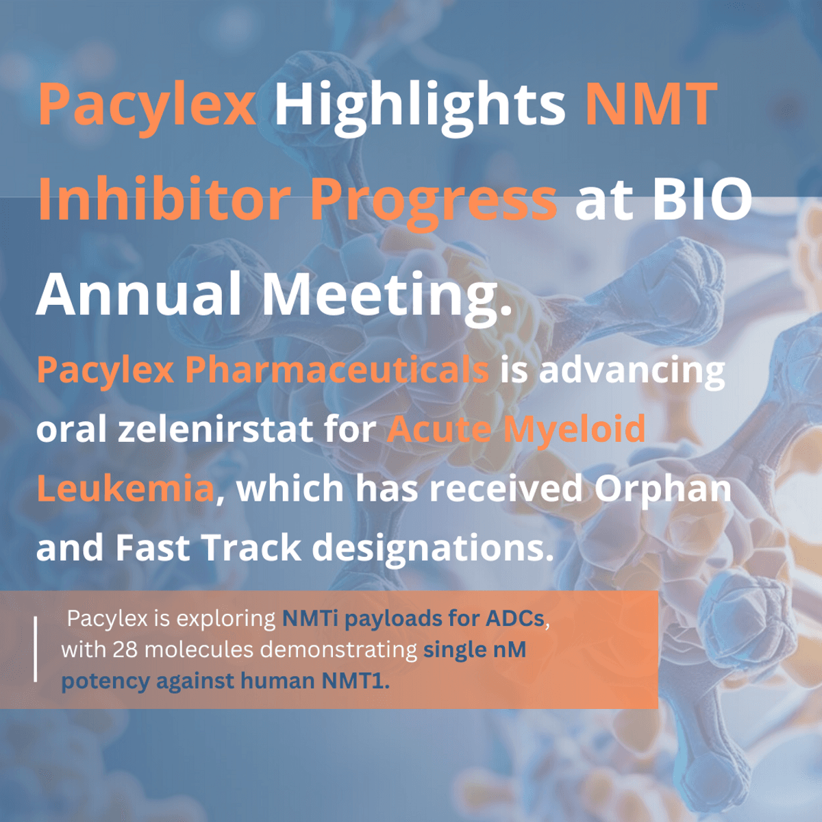 Pacylex Pharmaceuticals Showcases NMT Inhibitors at BIO Annual Meeting