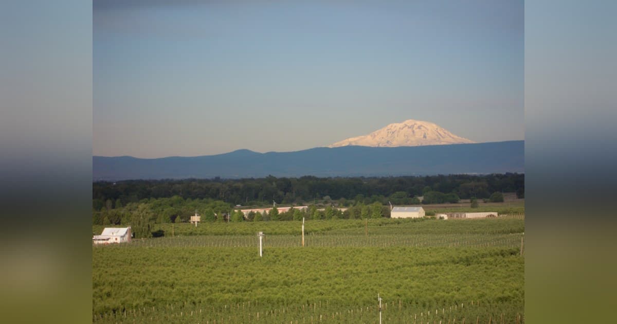 Reservoir Farms to Open Washington Site Targeting Labor-Intensive Tree Fruit and Blueberry Harvests