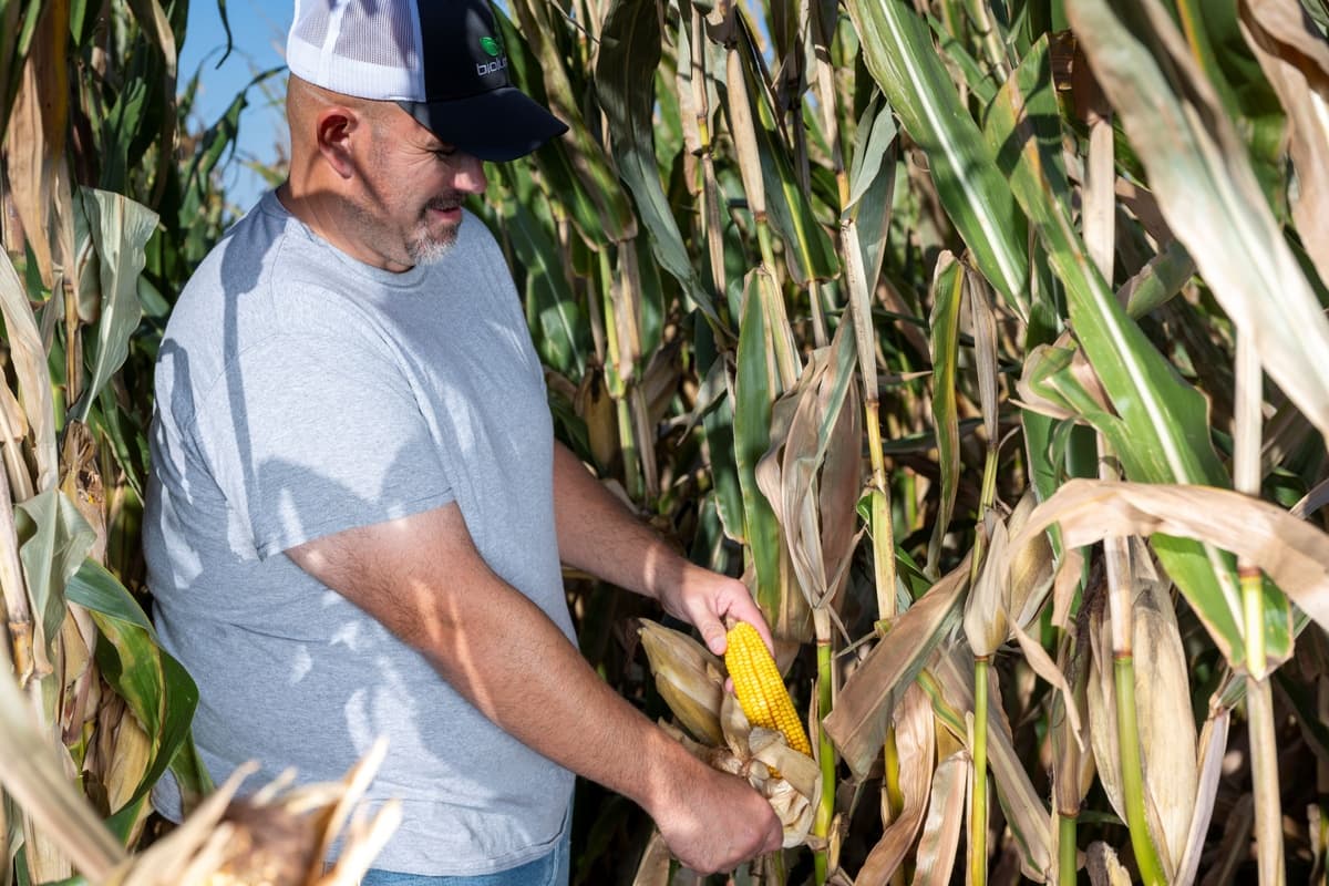 BioLumic Expands Light-Activated Seed Technology to South American Corn Markets