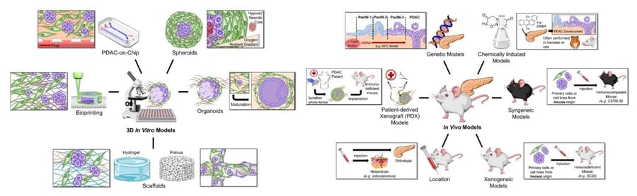 Alfa Cytology Launches Cancer Diagnostic Biomarker Development Services
