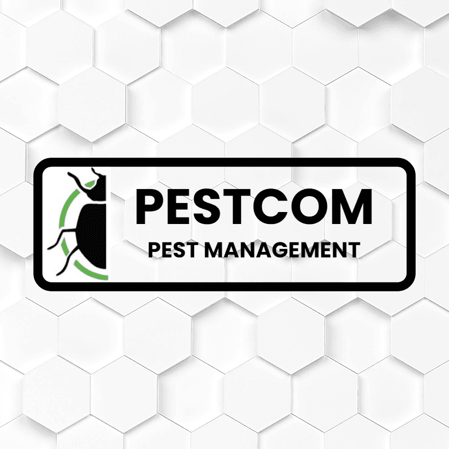 Pestcom Pest Management Expands Holiday Lighting Services in Treasure Valley