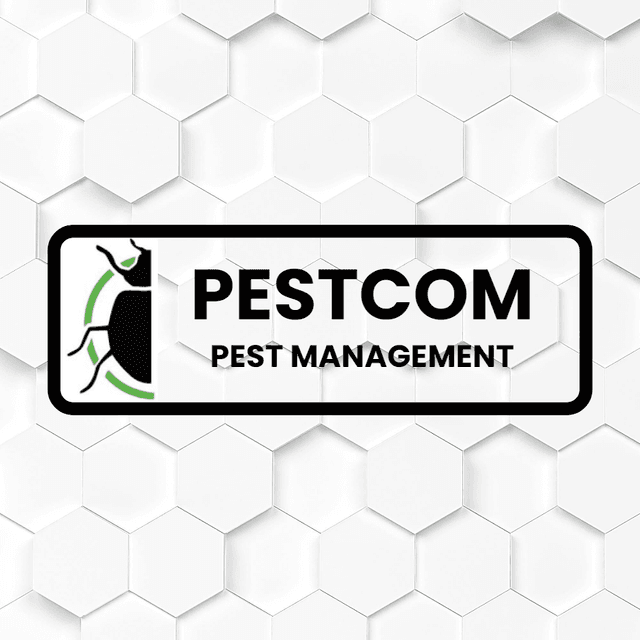 Pestcom Pest Management Expands Holiday Lighting Services in Treasure Valley