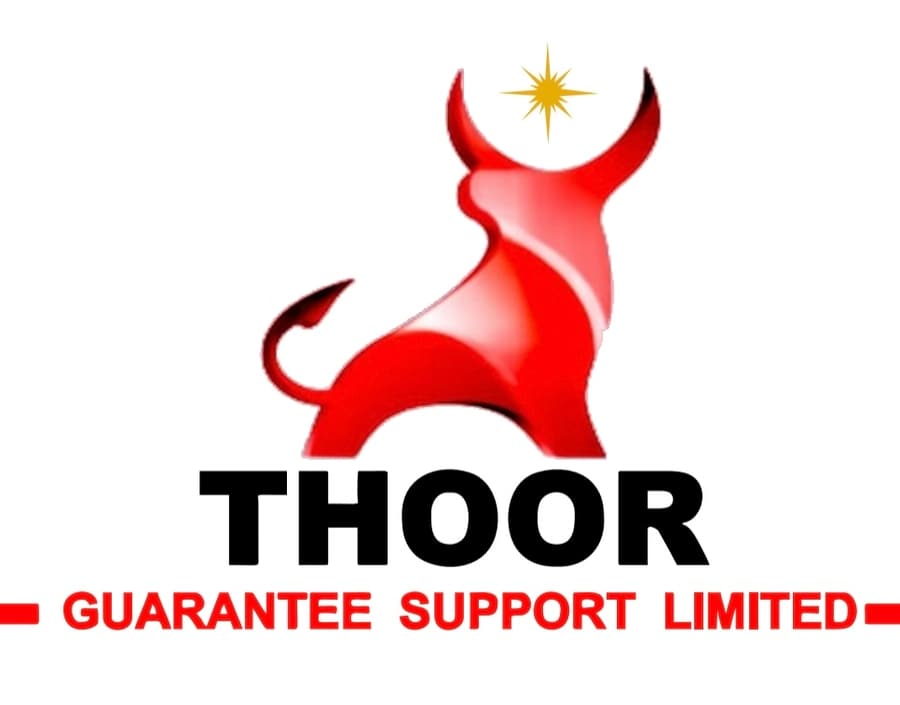 Thoor.org Introduces BENZU SMART: A New Era in Device and Digital Asset Protection