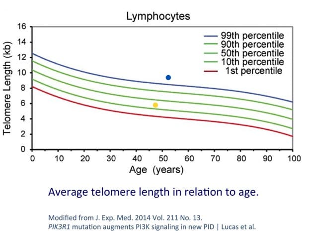 Six-Year Study Shows Weekly Intermittent Fasting Can Increase Telomere Length