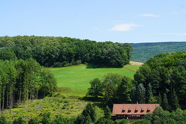 Gaia Retreat House Launches English-Language Wellness Programs for Global Travelers in Germany