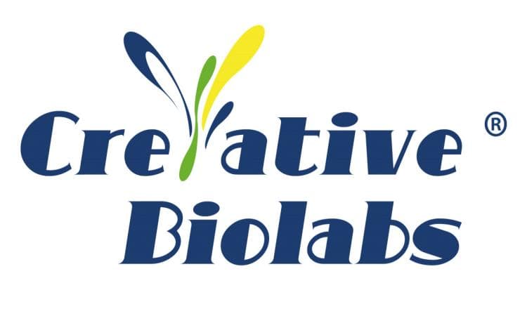 Creative Biolabs Enhances ADC Platform for Advanced Drug Development
