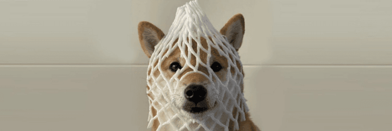 Wrapped Dog ($wDOG) Launches on Solana with a Community-Driven Decentralized Model