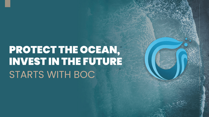 Beautiful Ocean Coin Launches Blockchain Platform for Marine Conservation Funding