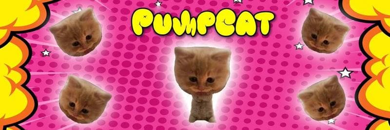 PUMPCAT Emerges as Potential Leader in Meme Coin Market