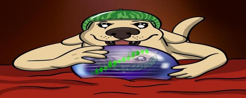 Melon Dog Cryptocurrency Gains Traction as Potential Next Big Meme Coin