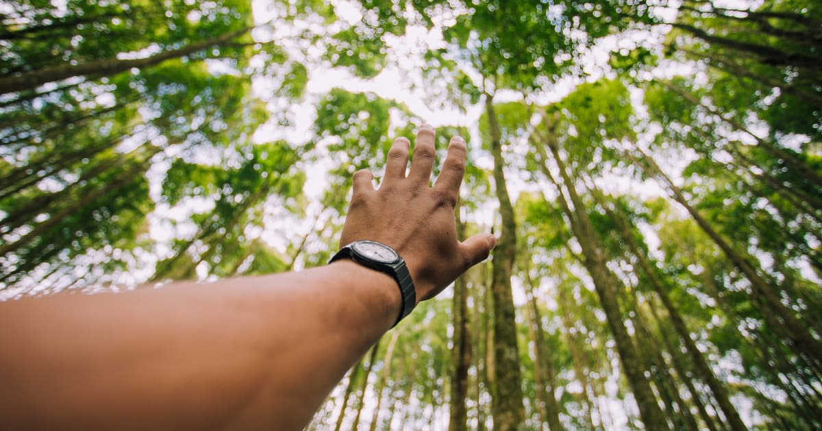 PISA Hearts Foundation Deploys Smart-Agro Initiative to Combat Nigeria's Deepening Food Crisis