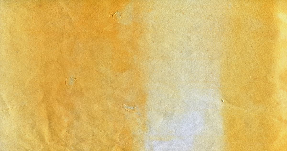 VOCIC Partnerships Expand Mobility Access Through Innovative Solutions