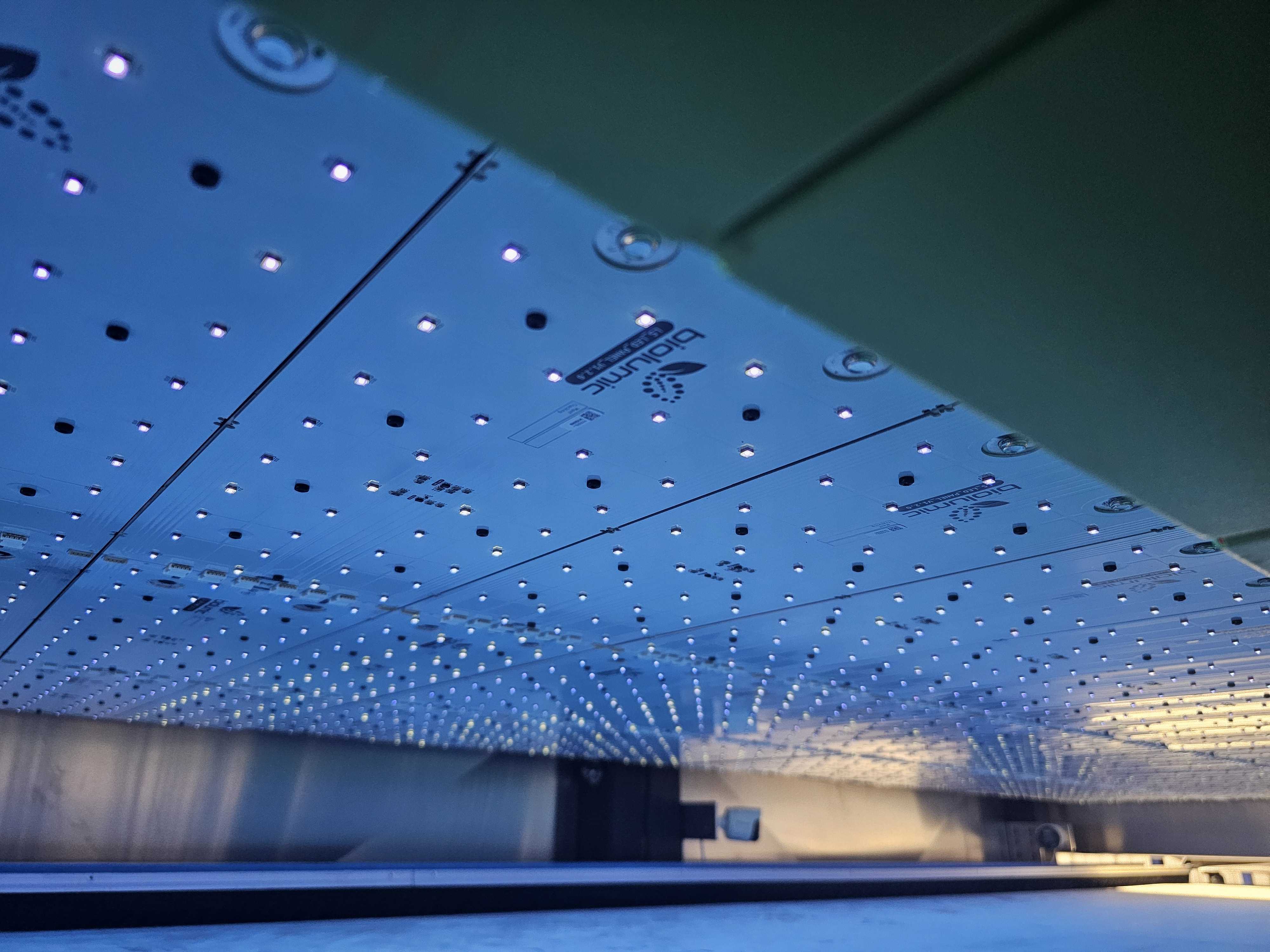 BioLumic Unveils Revolutionary Light-Activated Seed Trait Technology