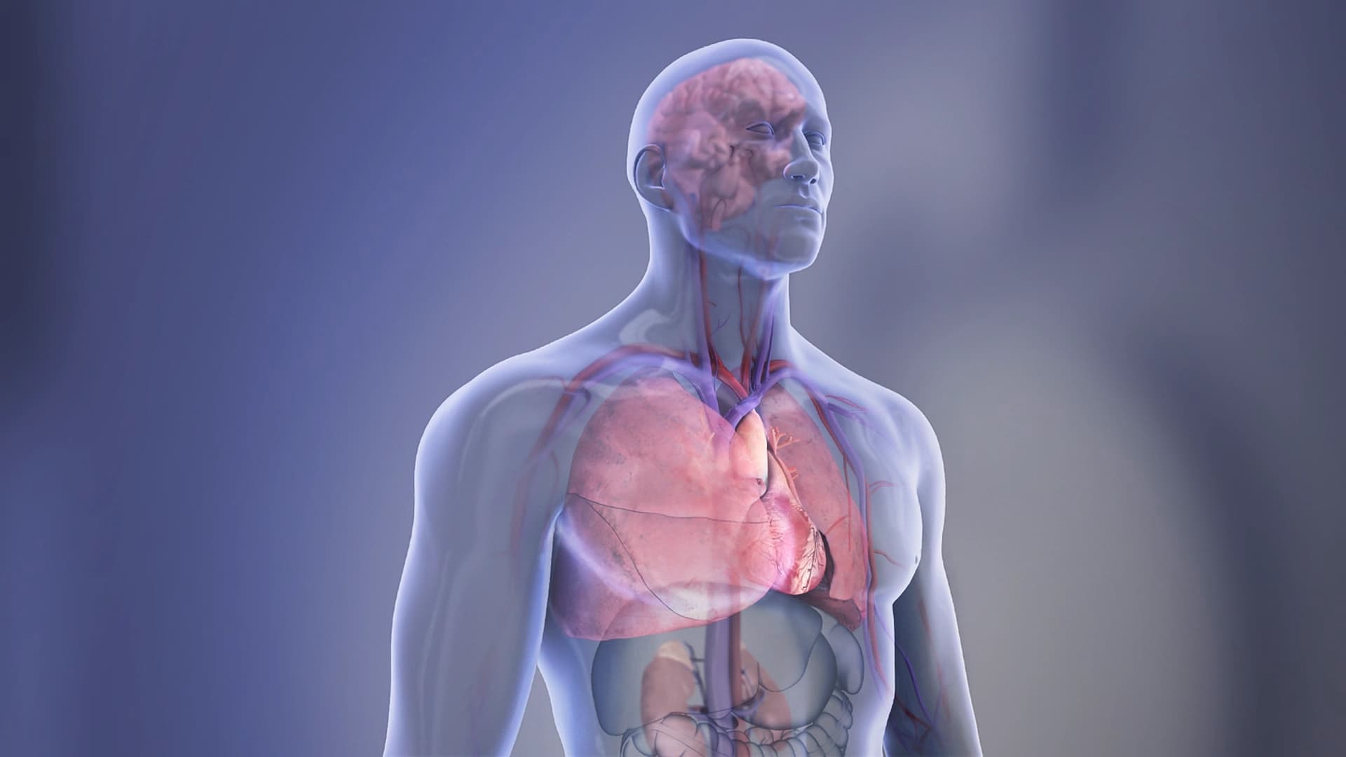 Heart Patients Seek Sexual Health Guidance, Survey Reveals Gap in Care