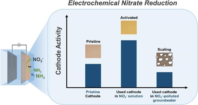 New Catalyst Approach Revolutionizes Nitrate Reduction for Sustainable Ammonia Production